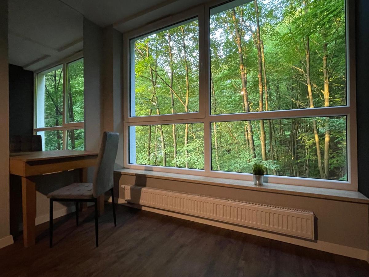 Apartament Kurort Kozubnik - Taras Nad Potokiem Porąbka Exterior photo